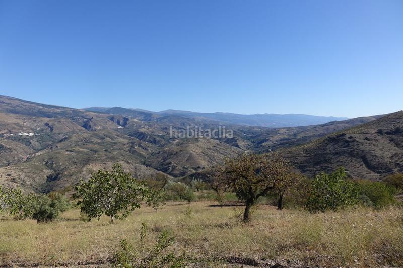 Foto 176d6026-70a9-4eef-a637-302f6e8d13c7. Chalet  en venta en polígonos, 2 dormitorios. en Torvizcón