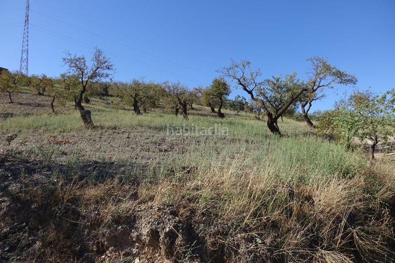 Foto 4c476fc0-d54a-4e88-a0db-80a06861b18a. Chalet  en venta en polígonos, 2 dormitorios. en Torvizcón