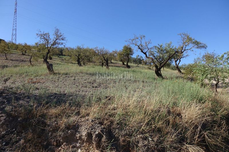 Foto f057eba8-c923-420a-a87f-2515b86b16a1. Xalet a Torvizcón