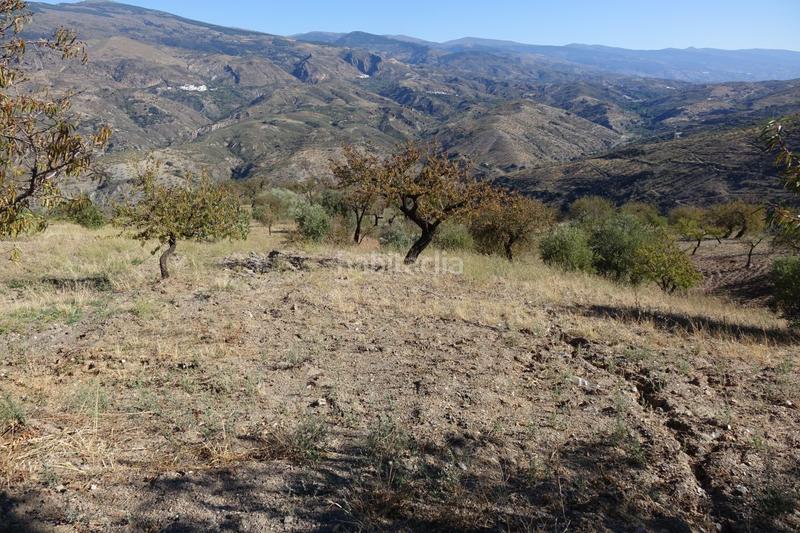 Foto 477362d8-8615-40c4-ab96-dedb23f950c8. Chalet  en venta en polígonos, 4 dormitorios. en Torvizcón