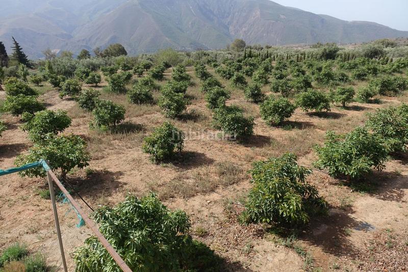 Foto 11934156-5cbf-42dd-b1ee-de62f19ef51f. Masía finca rúst. en venta en polígonos. en Órgiva