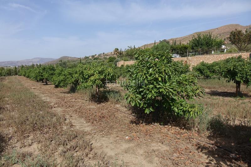 Foto 15f23ac4-63b2-4d64-8df0-c9c1db16e021. Masía finca rúst. en venta en polígonos. en Órgiva