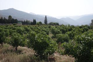 Masia a Órgiva. Finca rúst. en venta en polígonos.