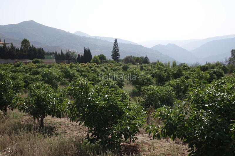 Foto 3a87ca11-cbfc-4ed7-89e9-95ddf4b2341a. Masía finca rúst. en venta en polígonos. en Órgiva