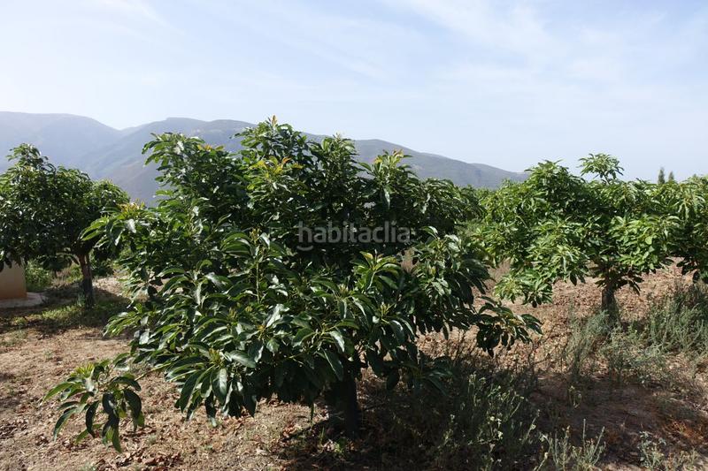 Foto 62268ecf-c21a-46b8-a929-b0fb23c2d897. Masía finca rúst. en venta en polígonos. en Órgiva