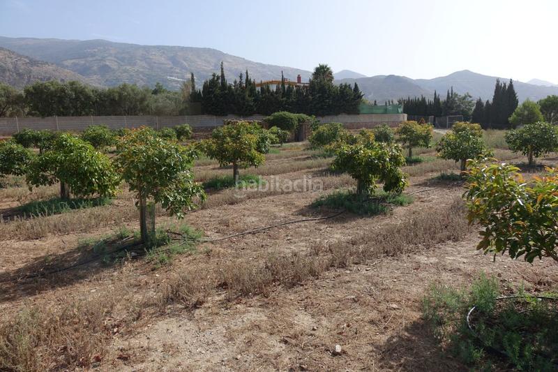 Foto b3a3545f-fec1-4ea7-a7b6-a0b4da23d530. Masía finca rúst. en venta en polígonos. en Órgiva