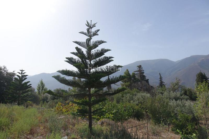 Foto e1f8300f-3379-49a6-a1f4-f50294fe1e41. Masía finca rúst. en venta en polígonos. en Órgiva