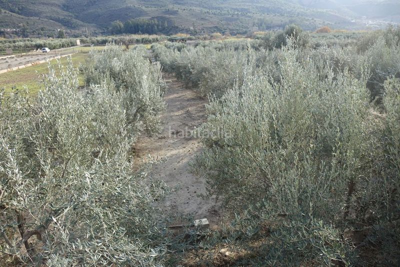 Foto 29aa54f4-3f81-4a59-890f-aed809c940f1. Masia a Órgiva