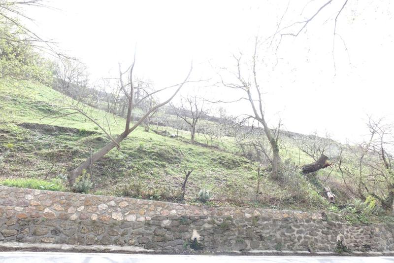 Foto eb721598-39a3-426c-96c6-b876227e415b. Bauernhof in Capileira