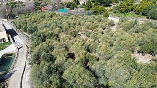 Masia a Órgiva. Finca rúst. en venta en polígonos.