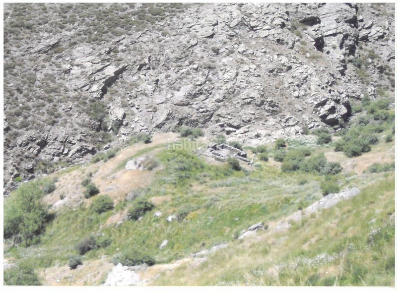 Foto cb3e67b7-58fa-43b3-a8d8-d96b0cf9933c. Masia a Trevélez