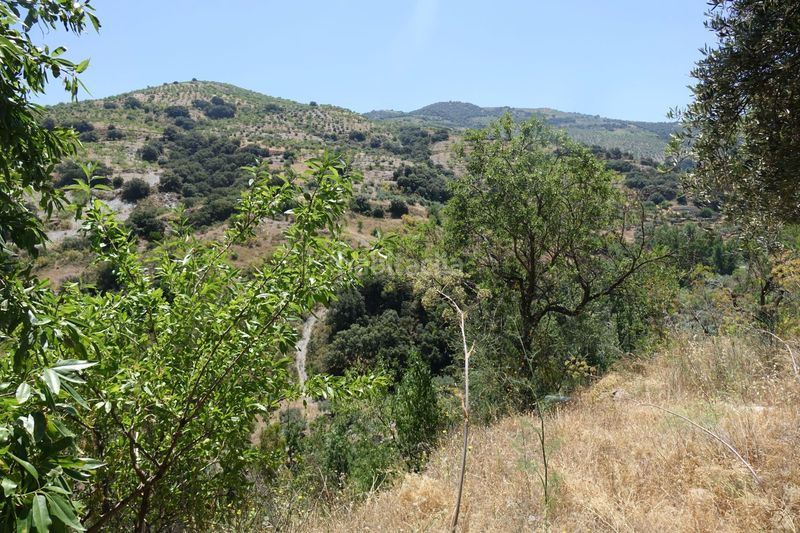 Foto ea7baeb0-1747-4f5f-8435-4c2de1c329f0. Masia a Torvizcón