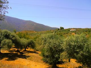 Masia a Órgiva. Finca rúst. en venta en polígonos.