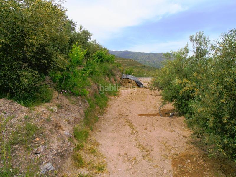 Foto cf0f70ae-8d73-4e2a-acc3-0052c3c1a1ad. Masia a Órgiva