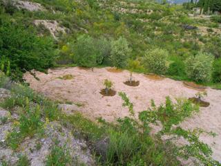 Masia a Órgiva. Finca rúst. en venta en polígonos.
