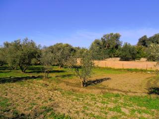 Masia a Órgiva. Finca rúst. en venta en polígonos, 4 dormitorios.