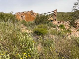 Finca rústica a Rincon de tallante 8. Terreno con vivivenda en ruinas