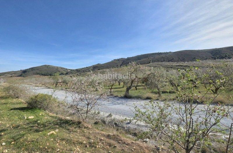 Foto 7798d00a-335f-4902-a55f-047b39602791. Finca rústica a Valle (El)