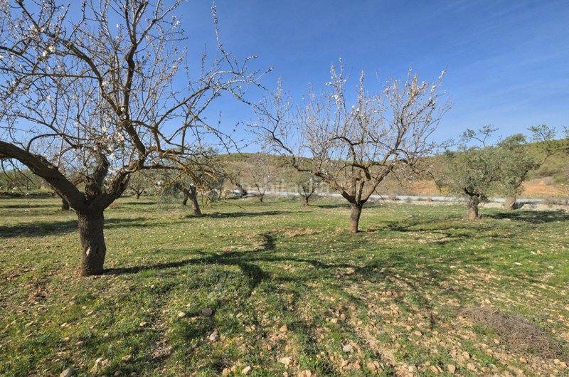 Foto fbac319b-617a-4192-b820-5ffcb5cf641d. Finca rústica a Valle (El)