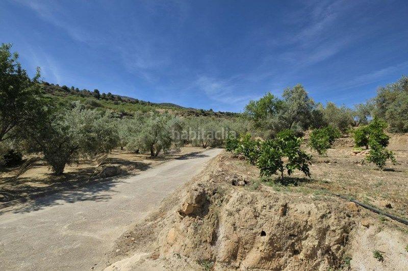 Foto 41c51bd4-8ff1-4f69-b97f-a49c92a9f4e3. Finca rústica a travesia jose mariano vallejo 4 a Valle (El)