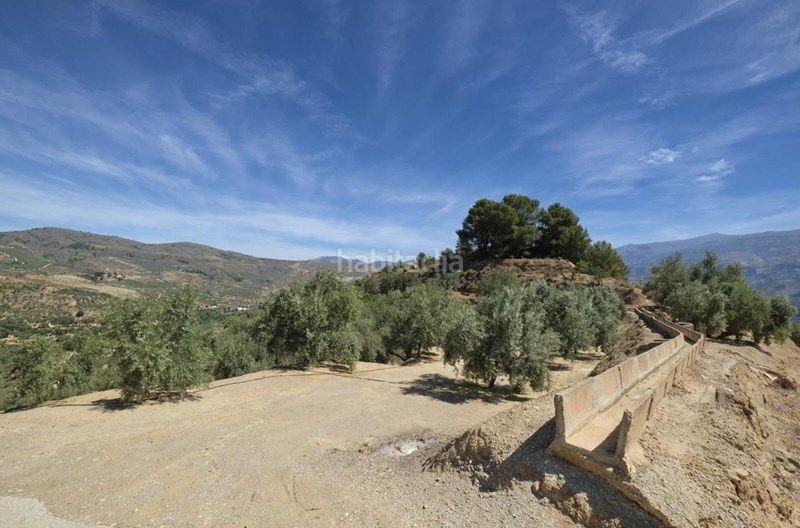 Foto b1176dd0-9d70-4bce-91c4-62ddfb6f8ee4. Finca rústica a travesia jose mariano vallejo 4 a Valle (El)