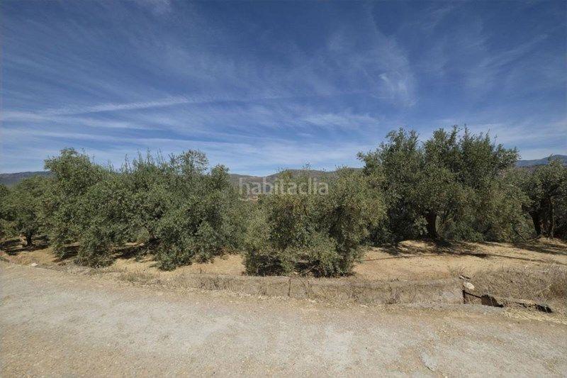 Foto c229f94e-0f4c-49b2-8ba0-a6f0089bee85. Finca rústica a travesia jose mariano vallejo 4 a Valle (El)