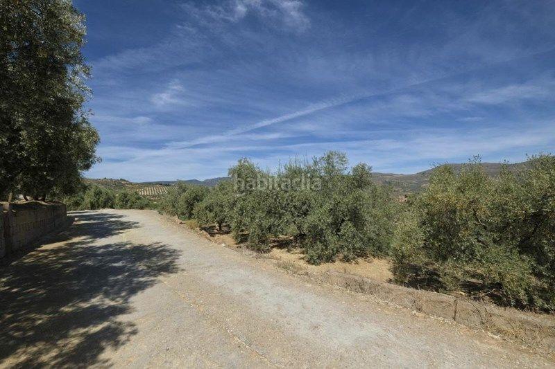 Foto c2633268-850b-4147-94ec-cdebe94a6c42. Finca rústica a travesia jose mariano vallejo 4 a Valle (El)