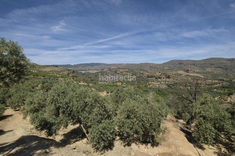 Foto d8ec14db-1086-48f6-a0ed-336c87392514. Finca rústica a travesia jose mariano vallejo 4 a Valle (El)