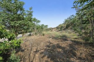 Finca rústica a Avenida de andalucía 179. Finca rustica en padul