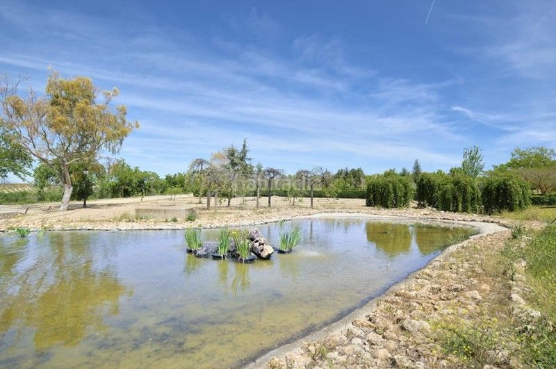 Foto 0eb1ae17-9fd6-48c7-8bdd-045a1052d39c. Terreny residencial a calle jara 2 a Dílar