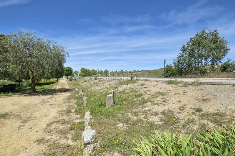 Foto d675840e-6ebe-4937-91b2-d5ab217a8cf9. Terreny residencial a calle jara 2 a Dílar