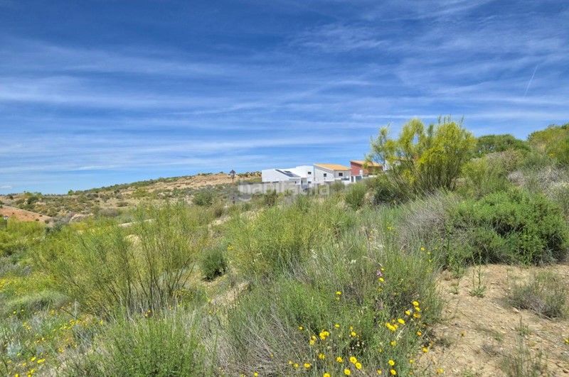 Foto e5df4594-a367-450e-b9f5-5983b5993015. Terreny residencial a calle jara 2 a Dílar