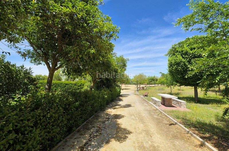 Foto ecf6411f-9188-45a4-ab79-c27935e64f48. Terreny residencial a calle jara 2 a Dílar