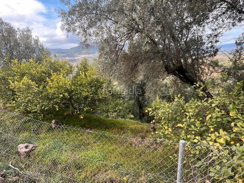 Foto 0358931e-2394-4b24-8a30-9529f478edab. Finca rústica a Lecrín