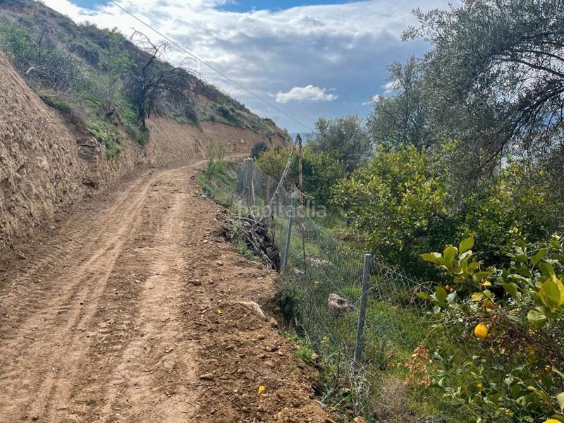 Foto 1e1fde04-6cd9-4c1c-945f-d8c61c710cb8. Finca rústica a Lecrín