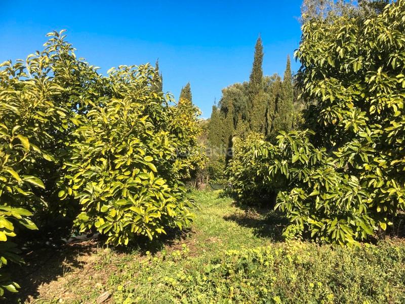 Foto 2380ed6d-5c1e-40c0-86cf-3ca2f5e5f2e0. Finca rústica a Lecrín