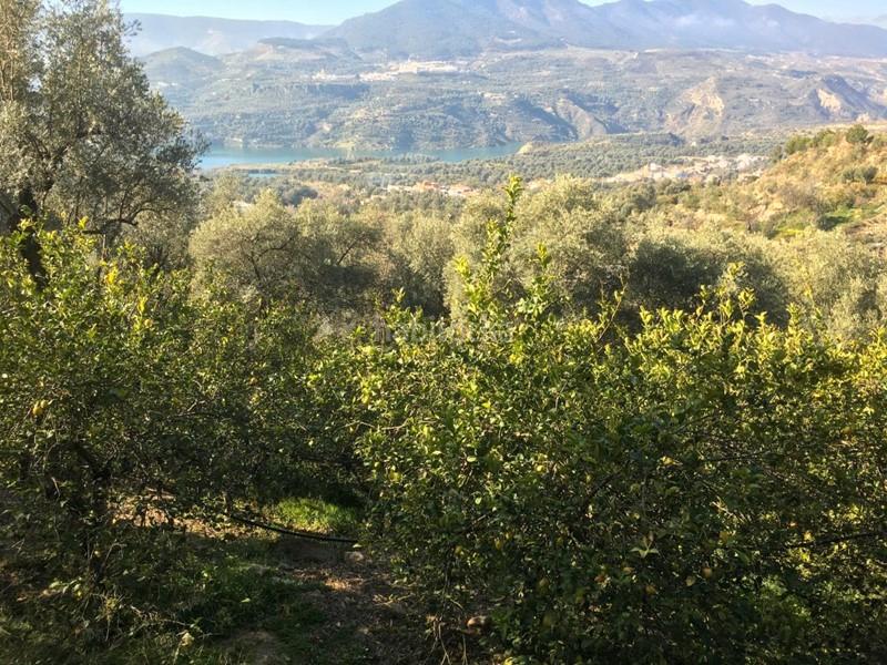 Foto 3e815071-c00b-4c49-86db-6e5e2012d6fe. Finca rústica a Lecrín