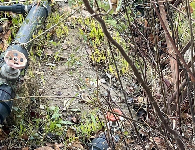 Foto 3ef5a192-cf0c-47ca-a8f0-7dbaa5bc7a35. Finca rústica a Lecrín