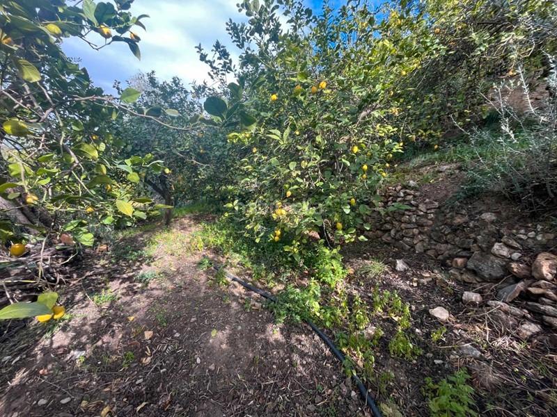 Foto 76970a62-0018-4ba9-b96d-4c2b764e3e0a. Finca rústica a Lecrín