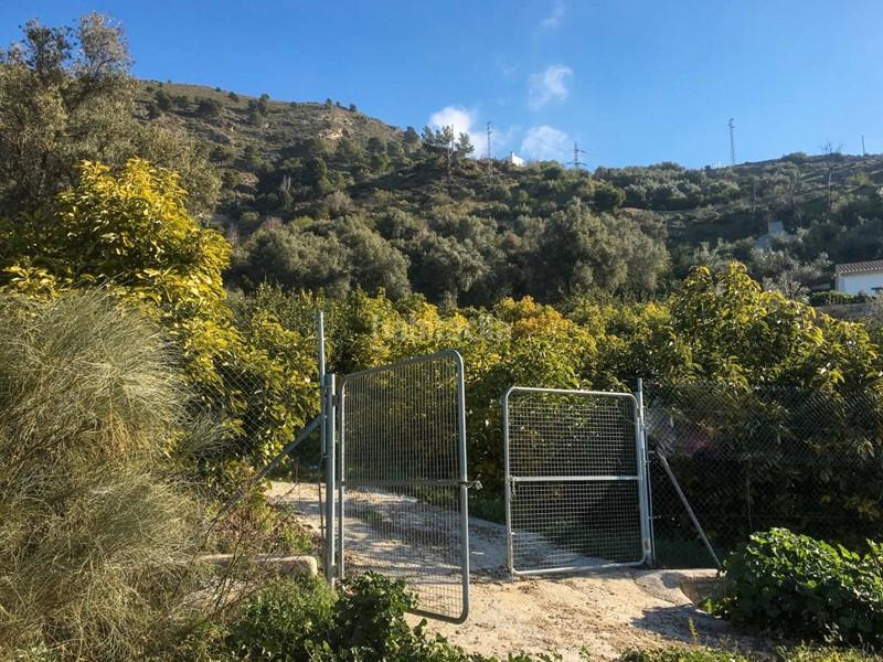 Foto 7b2a5b2d-92c4-4674-ae50-59a83bee904f. Finca rústica a Lecrín