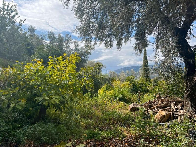 Foto 8aa4926d-ccca-4056-9f99-db38ba741fea. Finca rústica a Lecrín