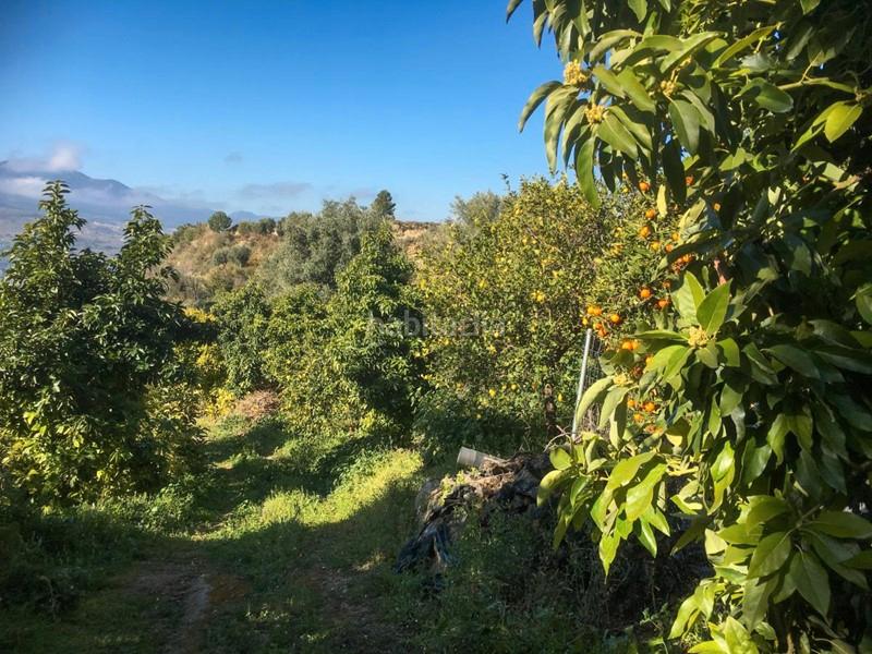 Foto 919b3567-6ce0-4556-b9b4-8bb3c799358b. Finca rústica a Lecrín