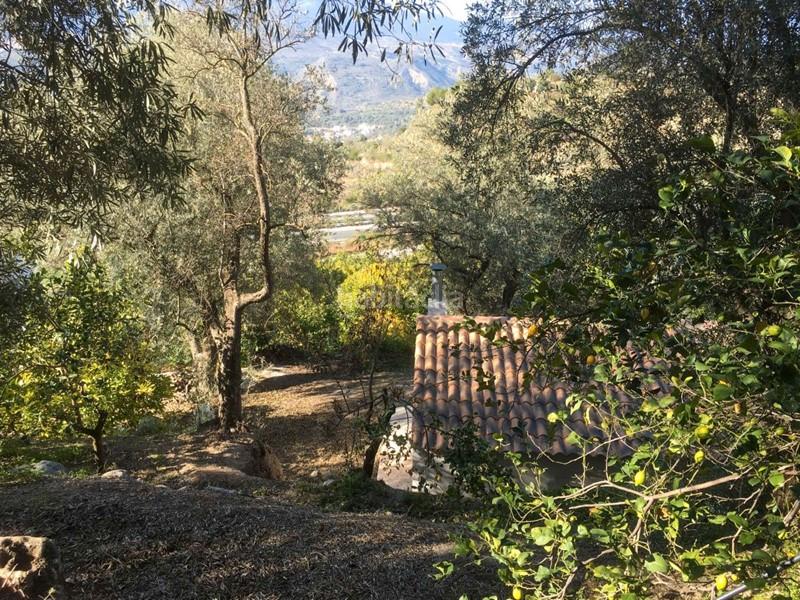 Foto 95c71345-51be-4a8d-863e-6dfa5d70eb75. Finca rústica a Lecrín