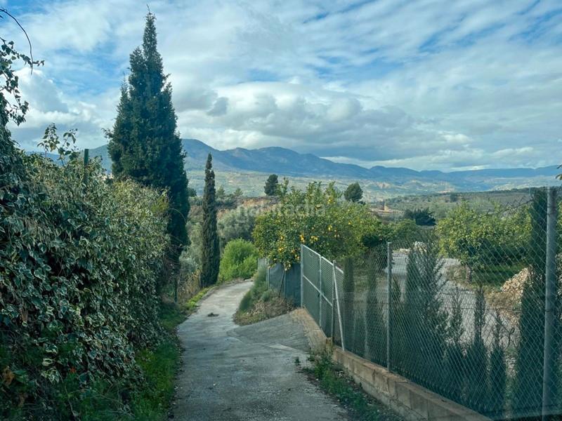 Foto c2241ba8-7601-422a-9eaa-30999fc09ded. Finca rústica a Lecrín