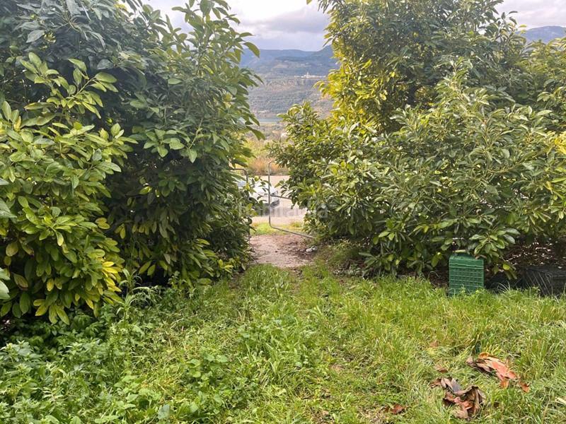 Foto dd4401df-8bc3-43ef-974f-d59a2fe48f27. Finca rústica a Lecrín