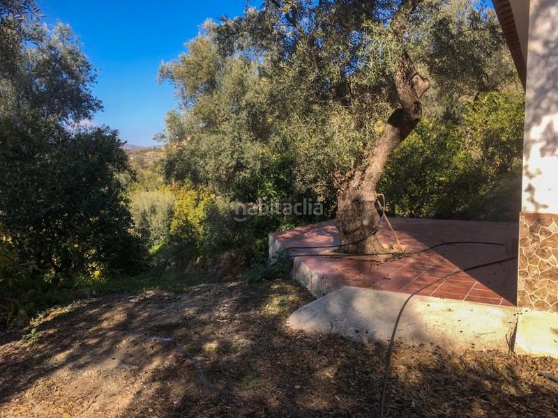 Foto f46145af-69c7-4c70-8824-99868ba5ae7e. Finca rústica a Lecrín