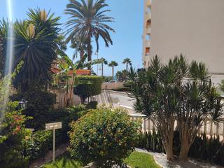 Lloguer Apartament  Paseo de velilla. Solo para temporada escolar .- solo a maestr@s o profesor@s