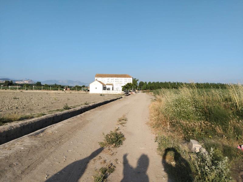 Foto 28102649-2e61-4aa6-b31b-d5d21bbbaba8. Finca rústica estupenda finca gran fachada a camino en Fuente Vaqueros