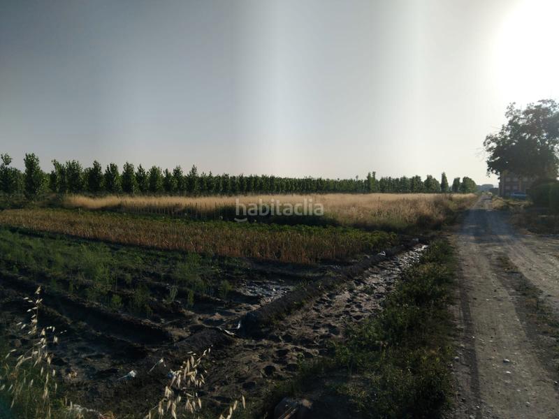 Foto 4e524b57-4973-4a86-9c18-4b266299fe74. Finca rústica estupenda finca gran fachada a camino en Fuente Vaqueros