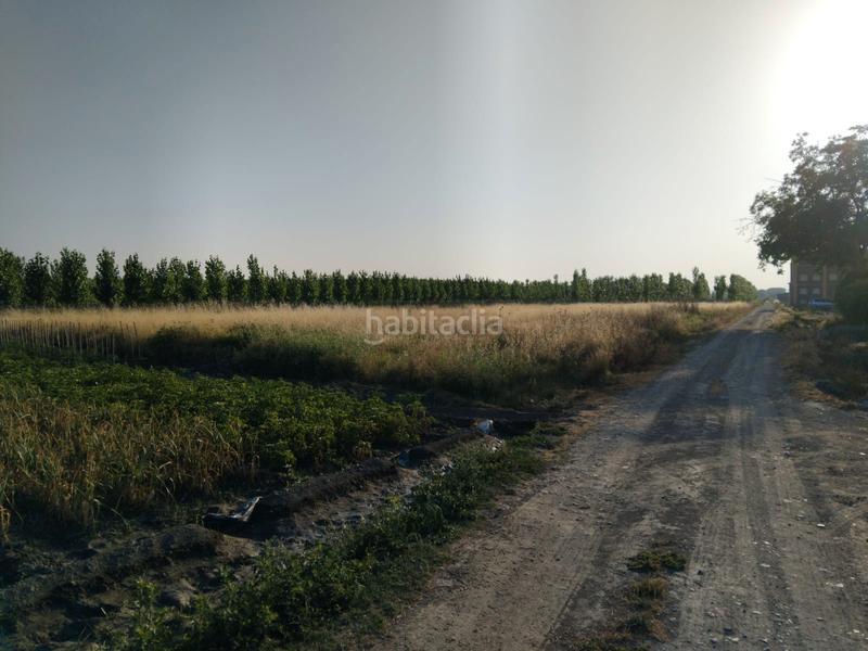 Foto a30d89fd-2f8a-4591-93d8-a58ac879574f. Finca rústica estupenda finca gran fachada a camino en Fuente Vaqueros